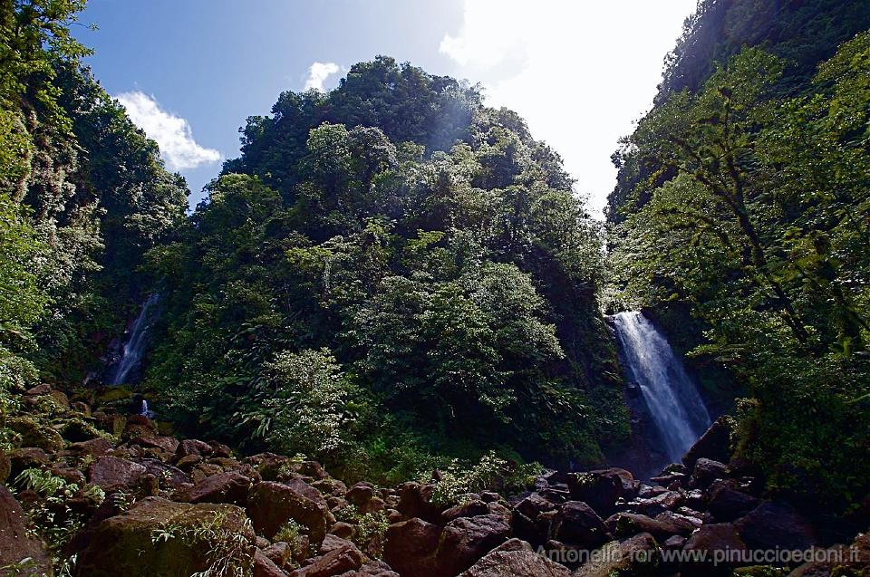 DOMINICA - Trafalgar falls.jpg